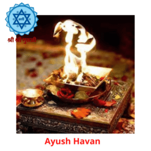 Ayush Havan