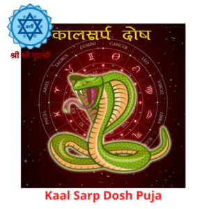 Kaal Sarp Dosh Puja